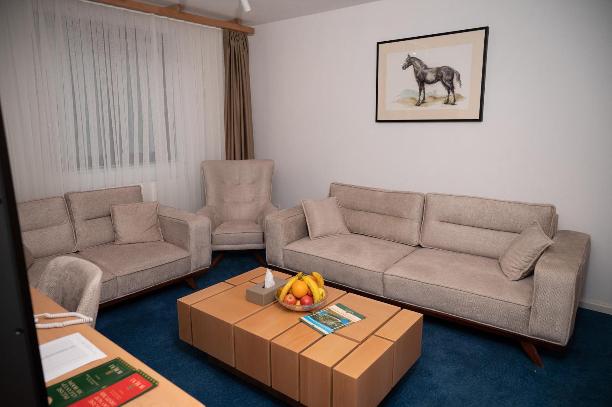 Hotel Borovi Forest Resort & Spa Сйеница Екстериор снимка